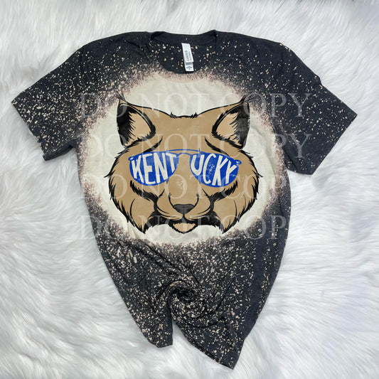 Kentucky Wildcats Sports Tee (S)