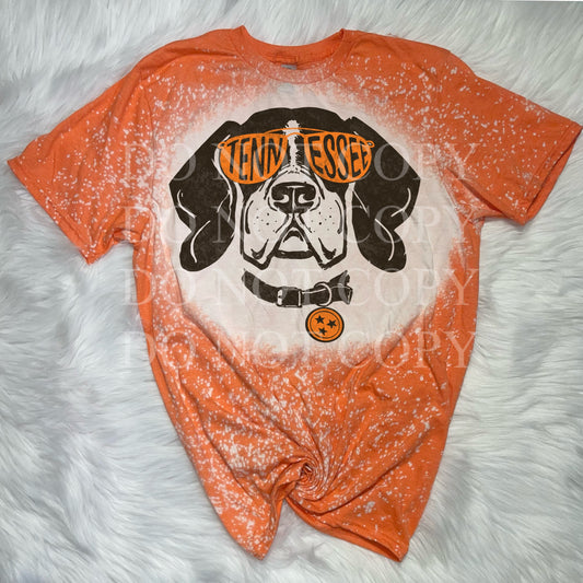 Tennessee Game Tee WS