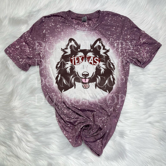 Texas Aggies Game Tee WS